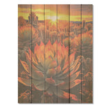 Designart "Green And Red Succulent Cactus Field Sunset I" Succulent Wall Art Red Wood Panel On Natural Pine Wood