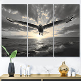 Designart "Grey Beach Seagulls In Flight V" Animals Metal Wall Decor Set