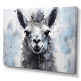 Designart "Grey Llama Portrait" Llama Animal Wall Art