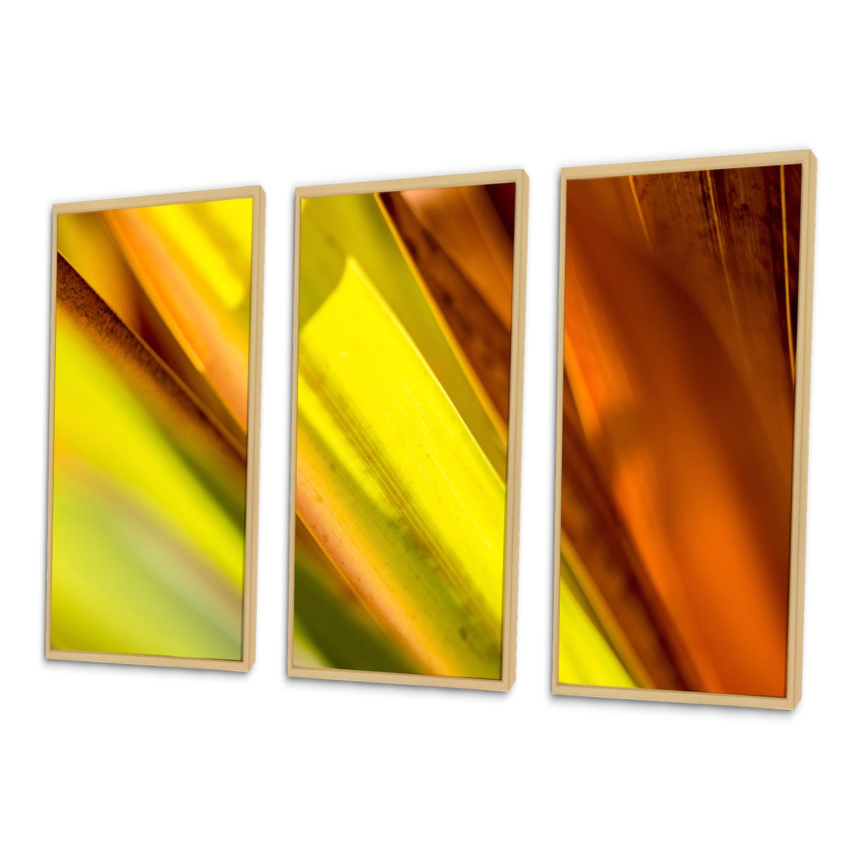 Designart "Light Green And Orange Sunshine" Modern Framed Art Set of 3 - 4 Colors of Frames