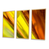 Designart "Light Green And Orange Sunshine" Modern Framed Art Set of 3 - 4 Colors of Frames