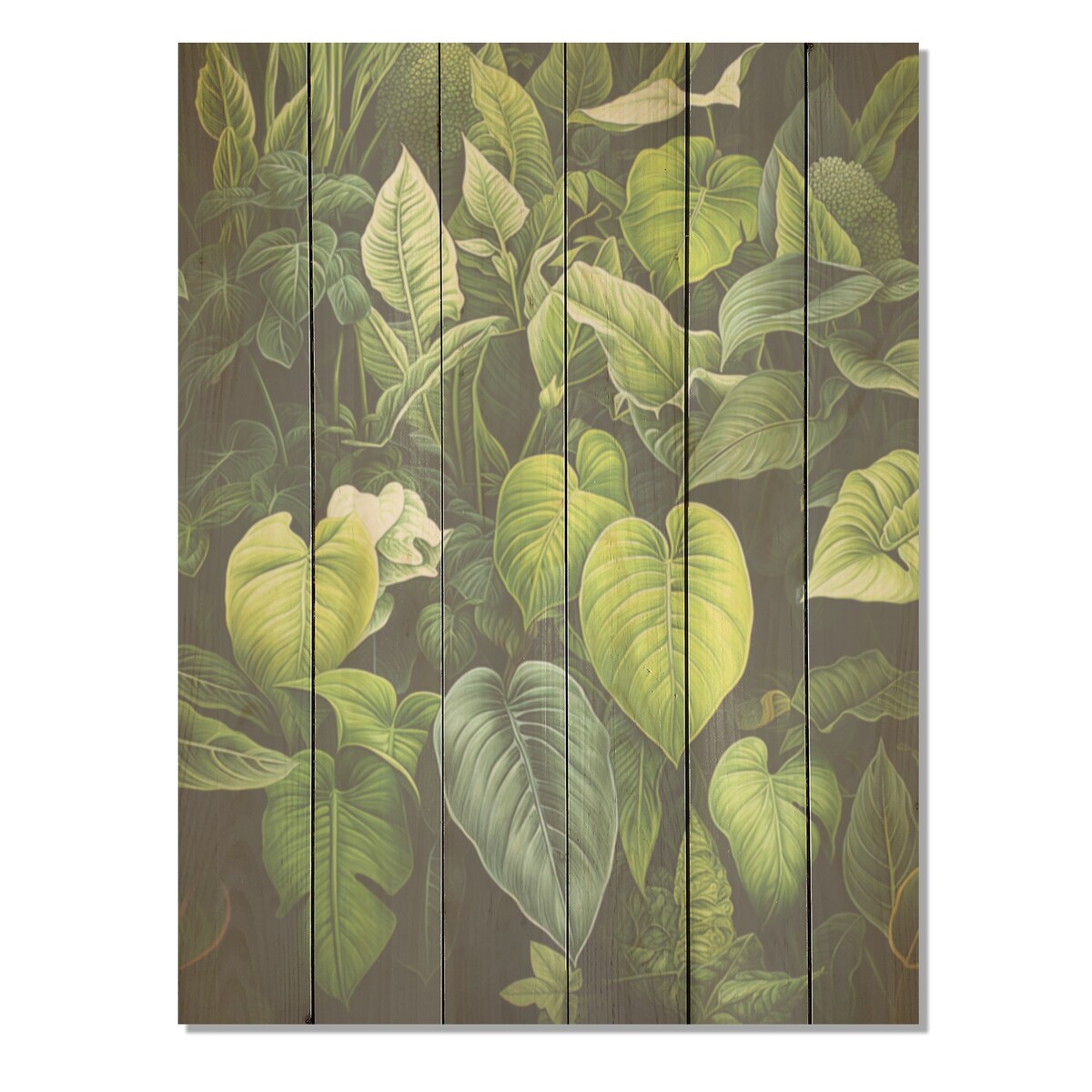 Designart "Meticulously Tropical Botanical Plants I" Plants Wood Wall Art Traditional Wood Panel On Natural Pine Wood