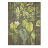 Designart "Meticulously Tropical Botanical Plants I" Plants Wood Wall Art Traditional Wood Panel On Natural Pine Wood