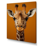 Designart "Modern Brown Giraffe Symbolism I" Giraffe Animal Wall Art
