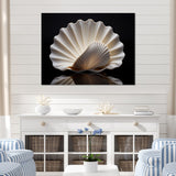 Designart "Monochrome Clam Deep Charcoal Ocean " Clamwall Art