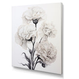 Designart "Monochrome Minimalism Carnations " Carnations Wall Art