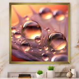 Designart "Morning Dew Drops On Pink Flower Petal" Flowers Framed Wall Art Prints