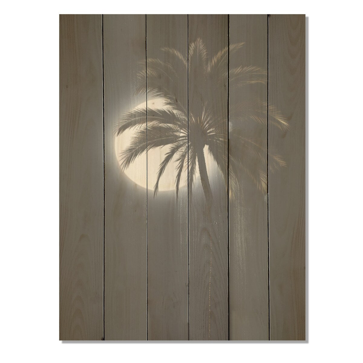 Designart "Palm Tree Moonlight Ebony Evening I" Palms & Palm Trees Wall Art Black Wood Panel On Natural Pine Wood
