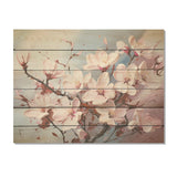 Designart "Pink Magnolias Liquid Art" Flower Field Wood Wall Decor - Traditional Pink Wood Panel On Natural Pine Wood