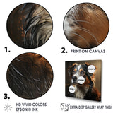 Designart "Saint Bernard Serenity " Dog Wall Art