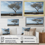 Designart "Solitude Tree Coastal Horizon" Coastal Ocean Wall Art