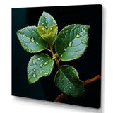 Designart "Teal Tranquility Leaf Expression I" Leaves Wall Art