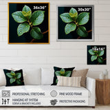 Designart "Teal Tranquility Leaf Expression I" Leaves Wall Art