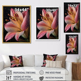 Designart "The Beauty Of Pink Lily Blossoming I" Lily Framed Wall Art Living Room