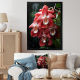 Designart "Tranquil Pink And White Orchids II" Orchids Wall Decor Pink - Traditional Entryway Framed Wall Art Print