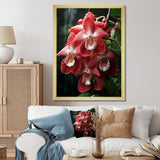 Designart "Tranquil Pink And White Orchids II" Orchids Wall Decor Pink - Traditional Entryway Framed Wall Art Print