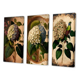 Designart "Victorian Retro Hydrangena I" Floral Wall Art Set Of 3 - Traditional Canvas Set For Living Room Decor