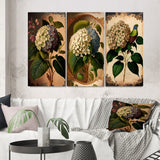 Designart "Victorian Retro Hydrangena I" Floral Wall Art Set Of 3 - Traditional Canvas Set For Living Room Decor