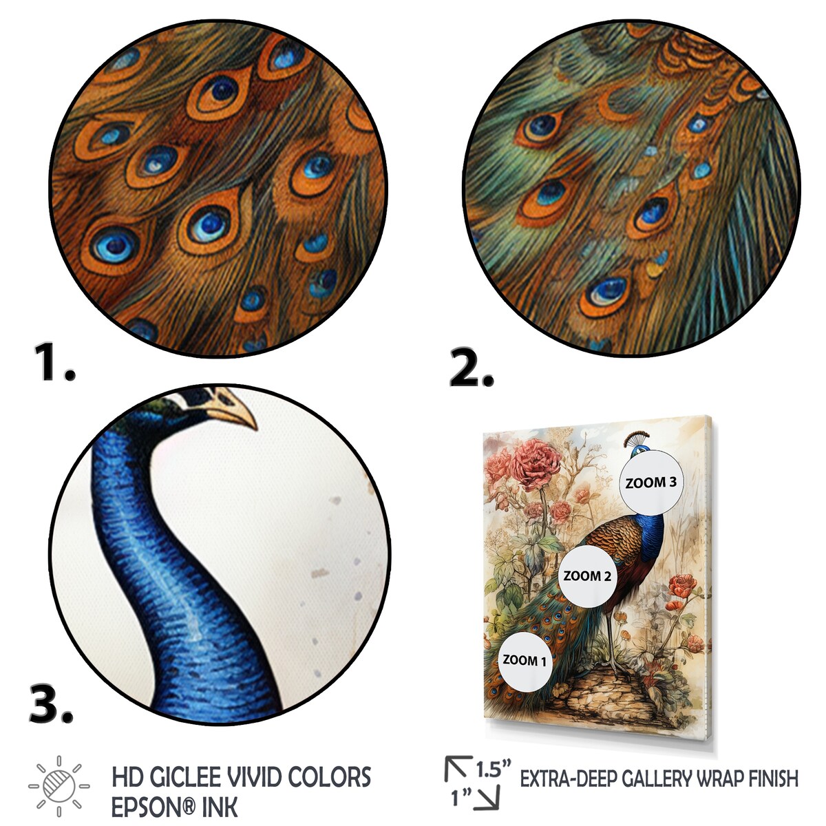 Designart "Vintage Illustration Of Glorious Peacock" Animals Peacock Framed Canvas Wall Art