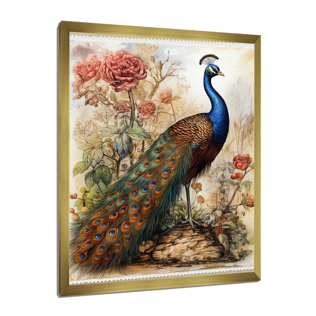 Designart "Vintage Illustration Of Glorious Peacock" Animals Peacock Framed Canvas Wall Art