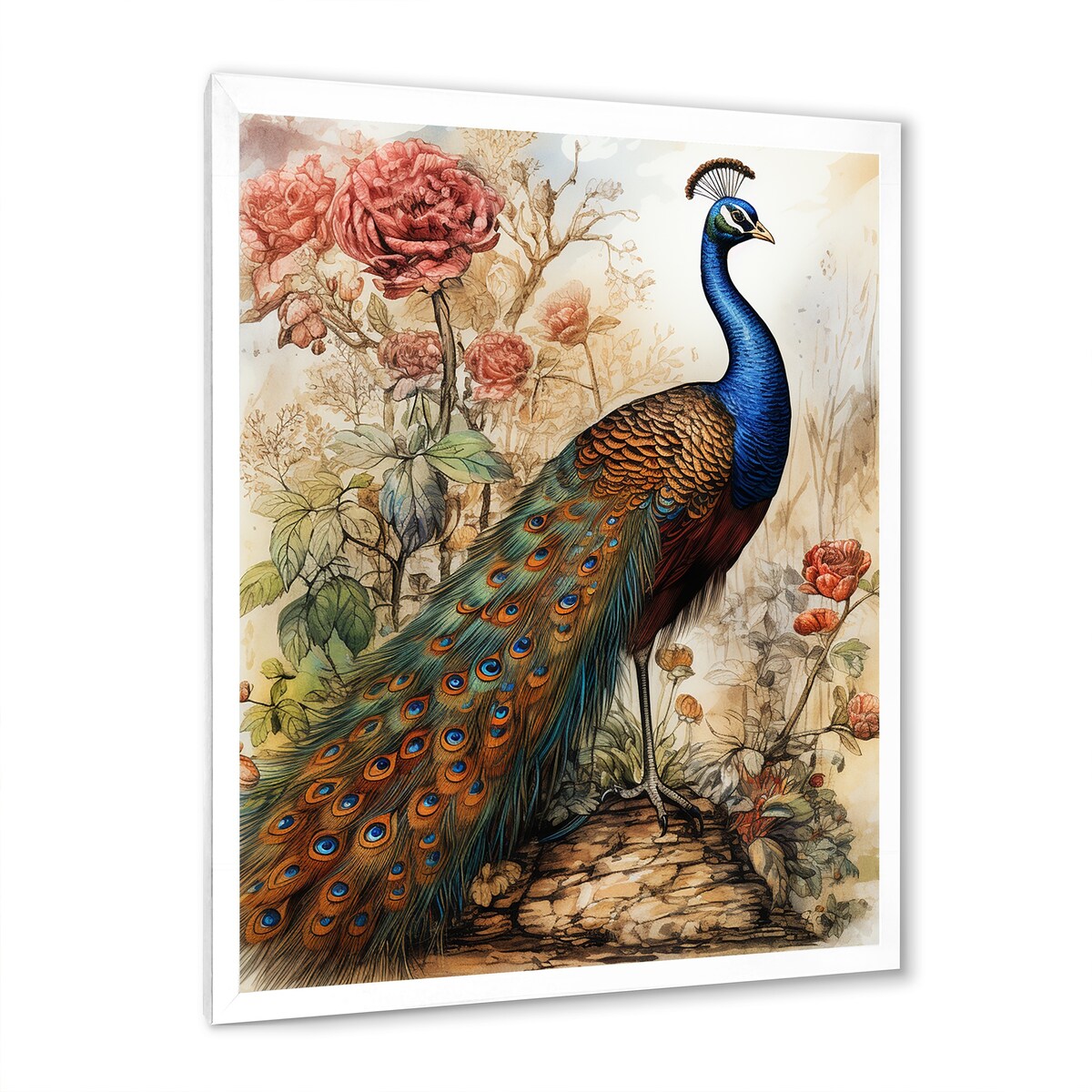 Designart "Vintage Illustration Of Glorious Peacock" Animals Peacock Framed Canvas Wall Art