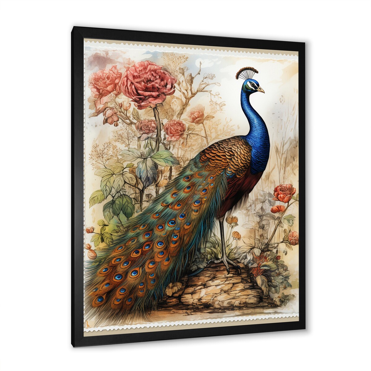 Designart "Vintage Illustration Of Glorious Peacock" Animals Peacock Framed Canvas Wall Art