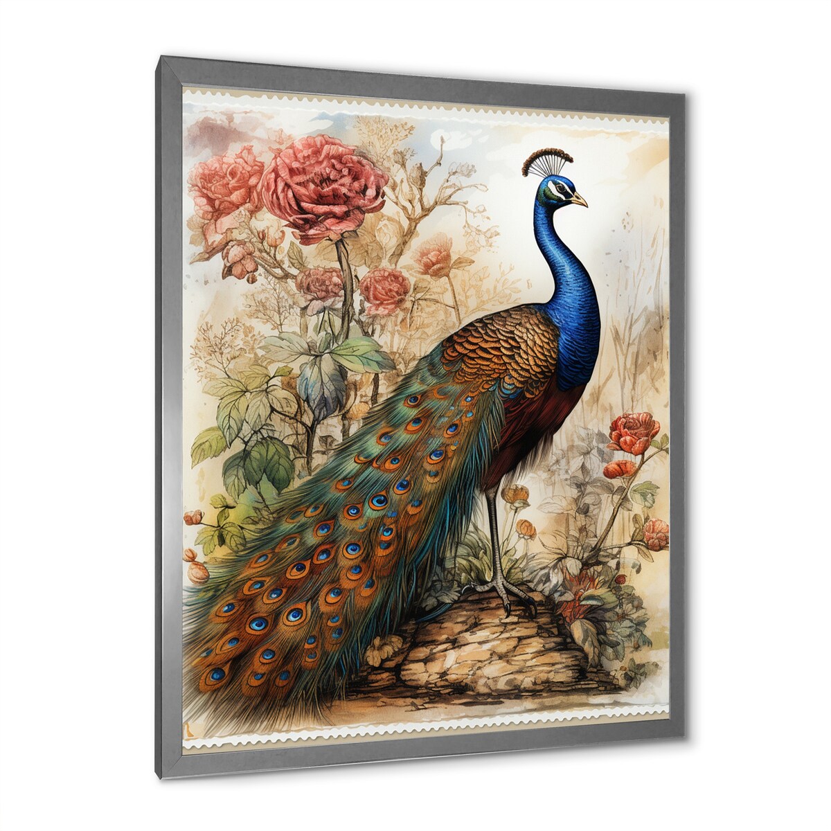 Designart "Vintage Illustration Of Glorious Peacock" Animals Peacock Framed Canvas Wall Art
