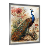Designart "Vintage Illustration Of Glorious Peacock" Animals Peacock Framed Canvas Wall Art
