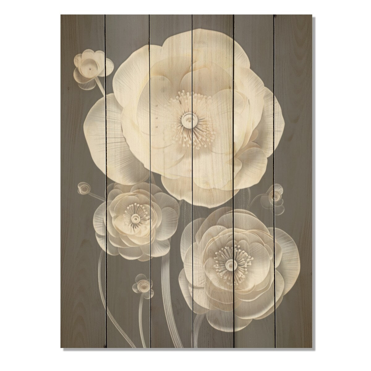 Designart "White And Black Floral Delights In Ranunculus" Ranunculus Wall Art White Wood Panel On Natural Pine Wood