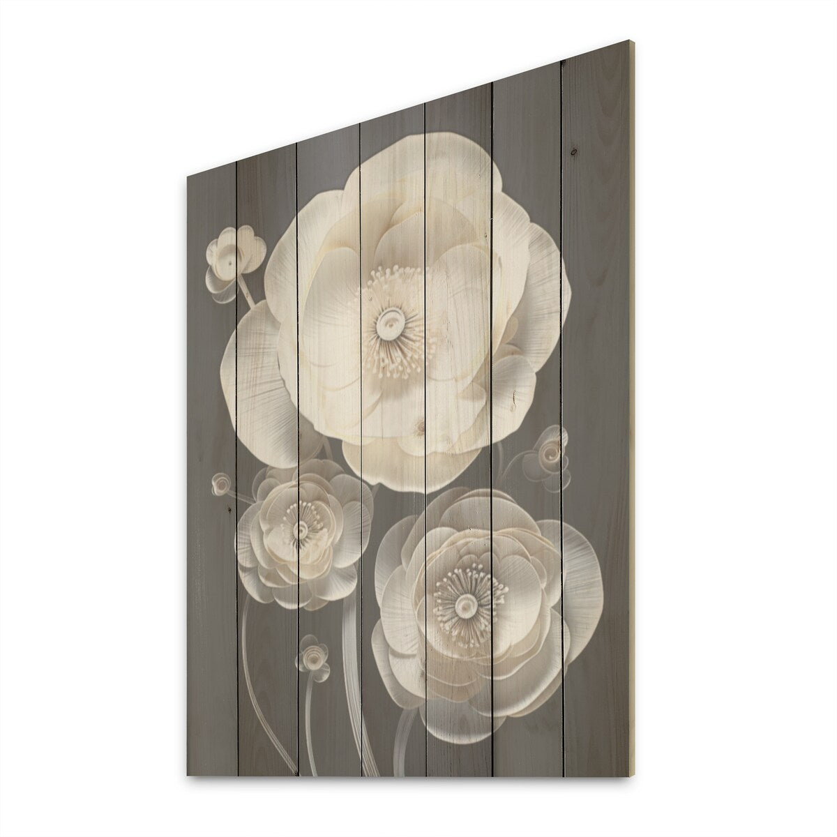 Designart "White And Black Floral Delights In Ranunculus" Ranunculus Wall Art White Wood Panel On Natural Pine Wood