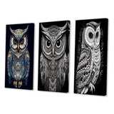 Designart "White Owl Magic" Animals Owl Wall Art Set Of 3 - Children's Art Printed Art Set For Bedroom