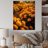 Designart "Yellow Chrysanthemums Field At Sunrise I" Chrysanthemums Wall Art