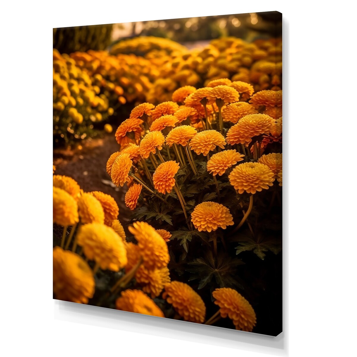 Designart "Yellow Chrysanthemums Field At Sunrise I" Chrysanthemums Wall Art