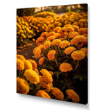 Designart "Yellow Chrysanthemums Field At Sunrise I" Chrysanthemums Wall Art