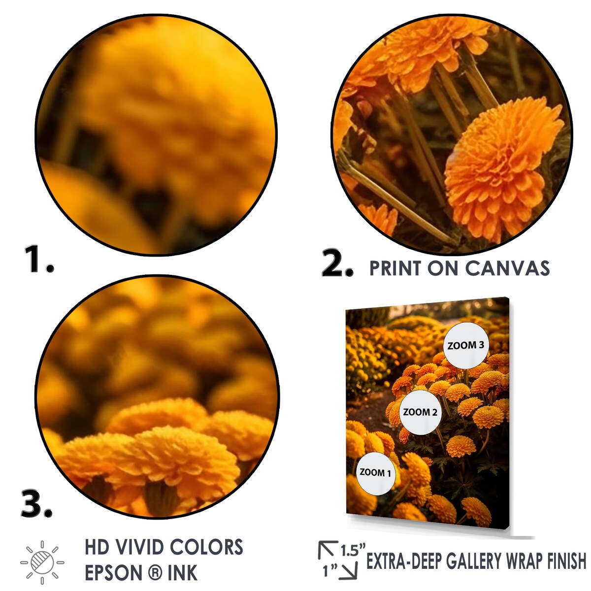 Designart "Yellow Chrysanthemums Field At Sunrise I" Chrysanthemums Wall Art