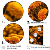 Designart "Yellow Chrysanthemums Field At Sunrise I" Chrysanthemums Wall Art