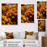 Designart "Yellow Chrysanthemums Field At Sunrise I" Chrysanthemums Wall Art