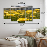 Designart "Zebra Walking In Africa I" Animals Multipanel Canvas Art Print set
