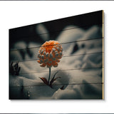 Designart 'A Blooming Orange Marigold Flower In Winter II' Floral Marigold Wood Wall Art - Natural Pine Wood