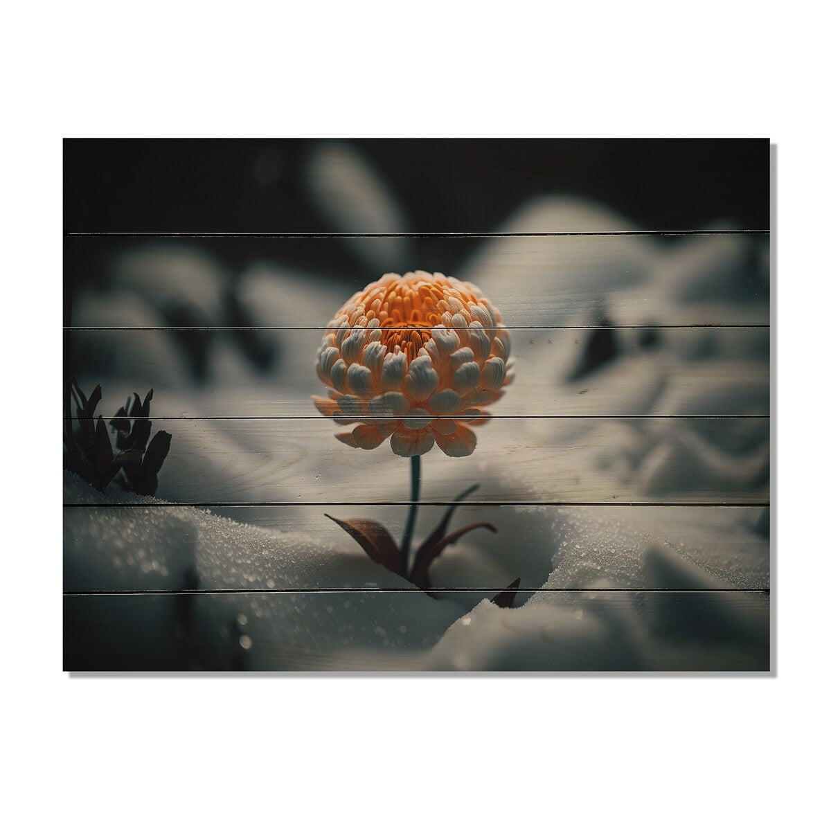 Designart 'A Blooming Orange Marigold Flower In Winter II' Floral Marigold Wood Wall Art - Natural Pine Wood