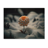 Designart 'A Blooming Orange Marigold Flower In Winter II' Floral Marigold Wood Wall Art - Natural Pine Wood