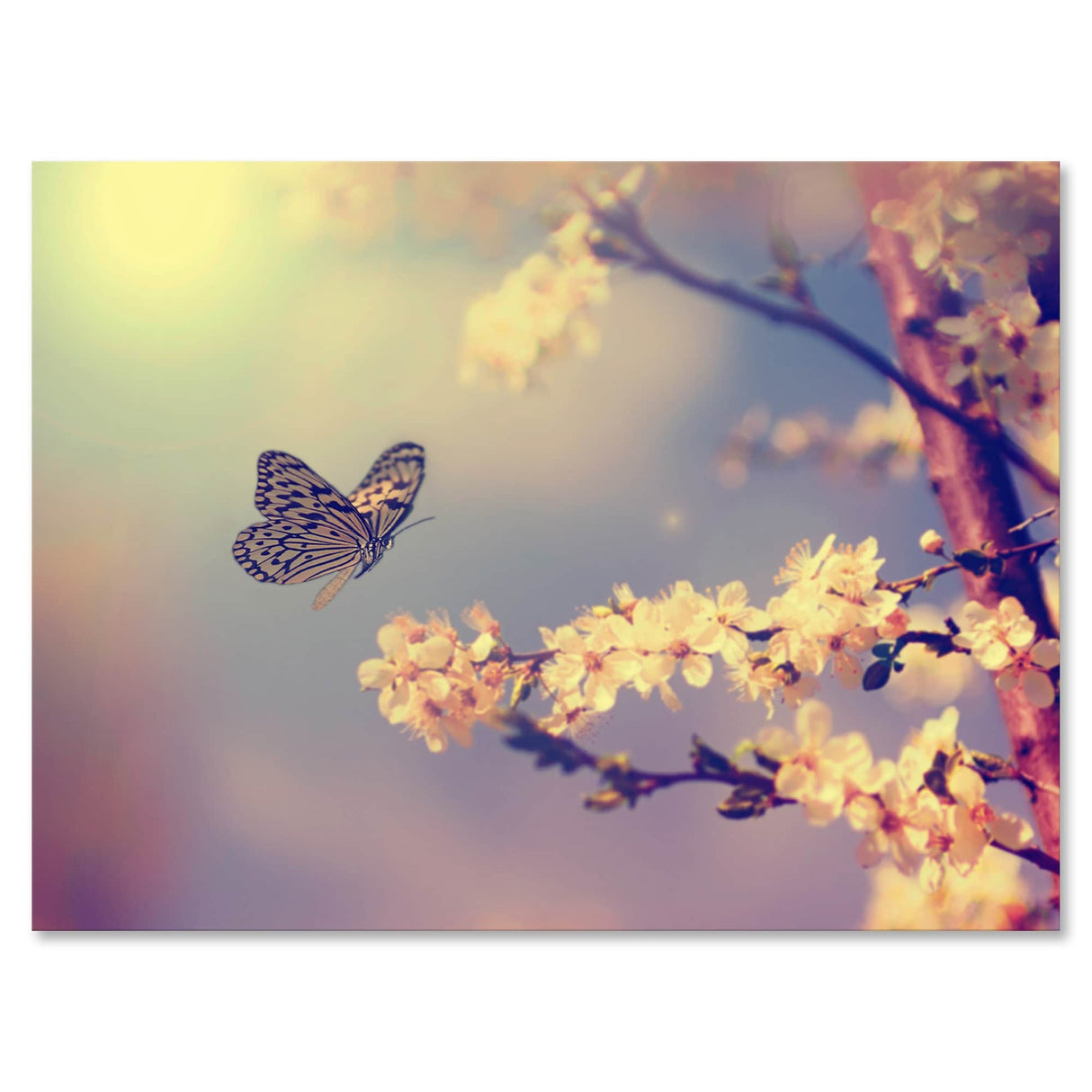 Designart "Vintage Butterfly Flying To A White Flower" Traditional Canvas Wall Art Print