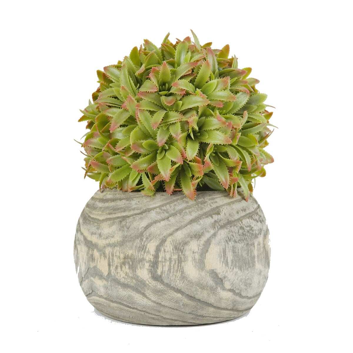 Direct Wicker Succulent Artificial Green Plants with Wood Pot