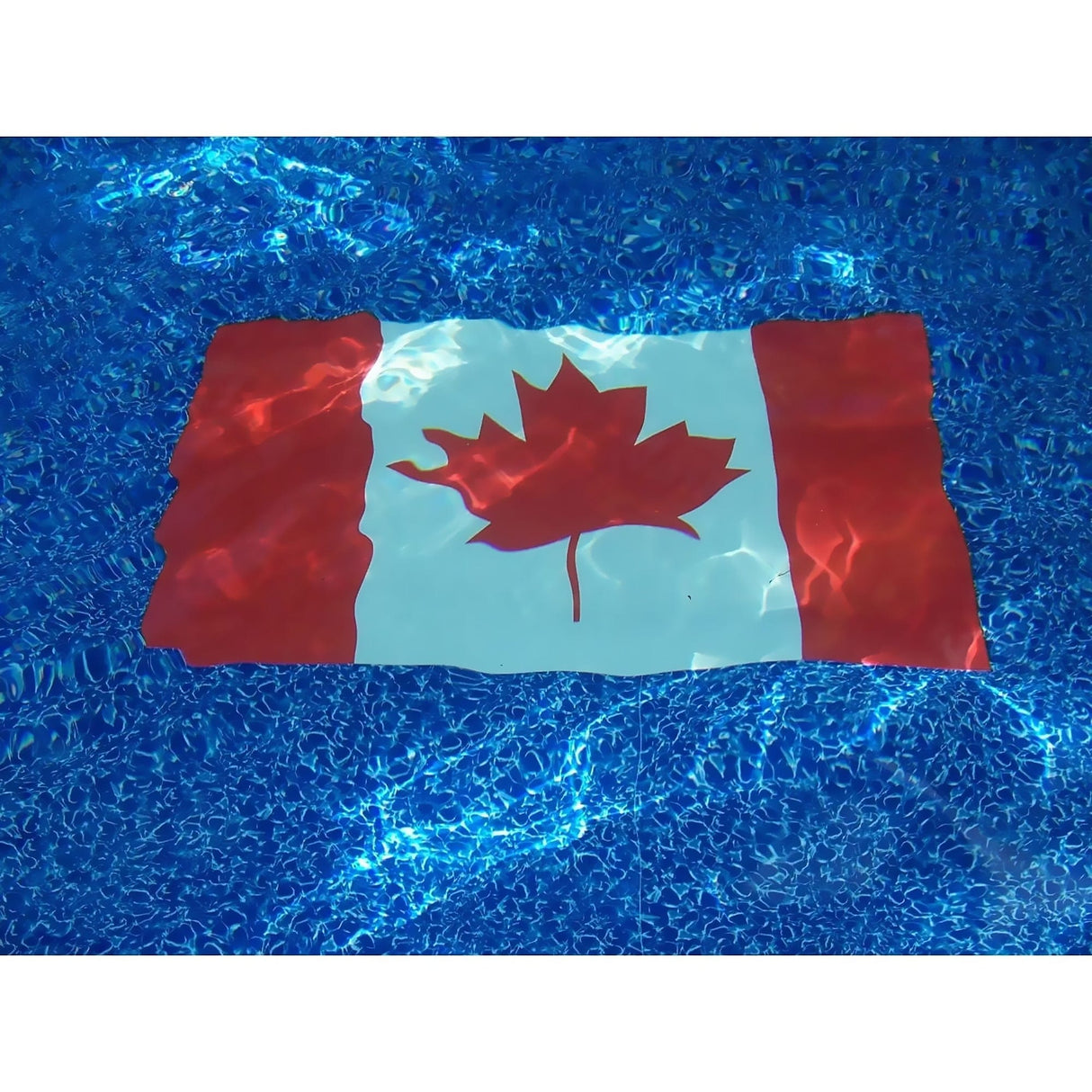 Dolphin Decorative Pool Mat - Pool Art