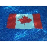 Dolphin Decorative Pool Mat - Pool Art