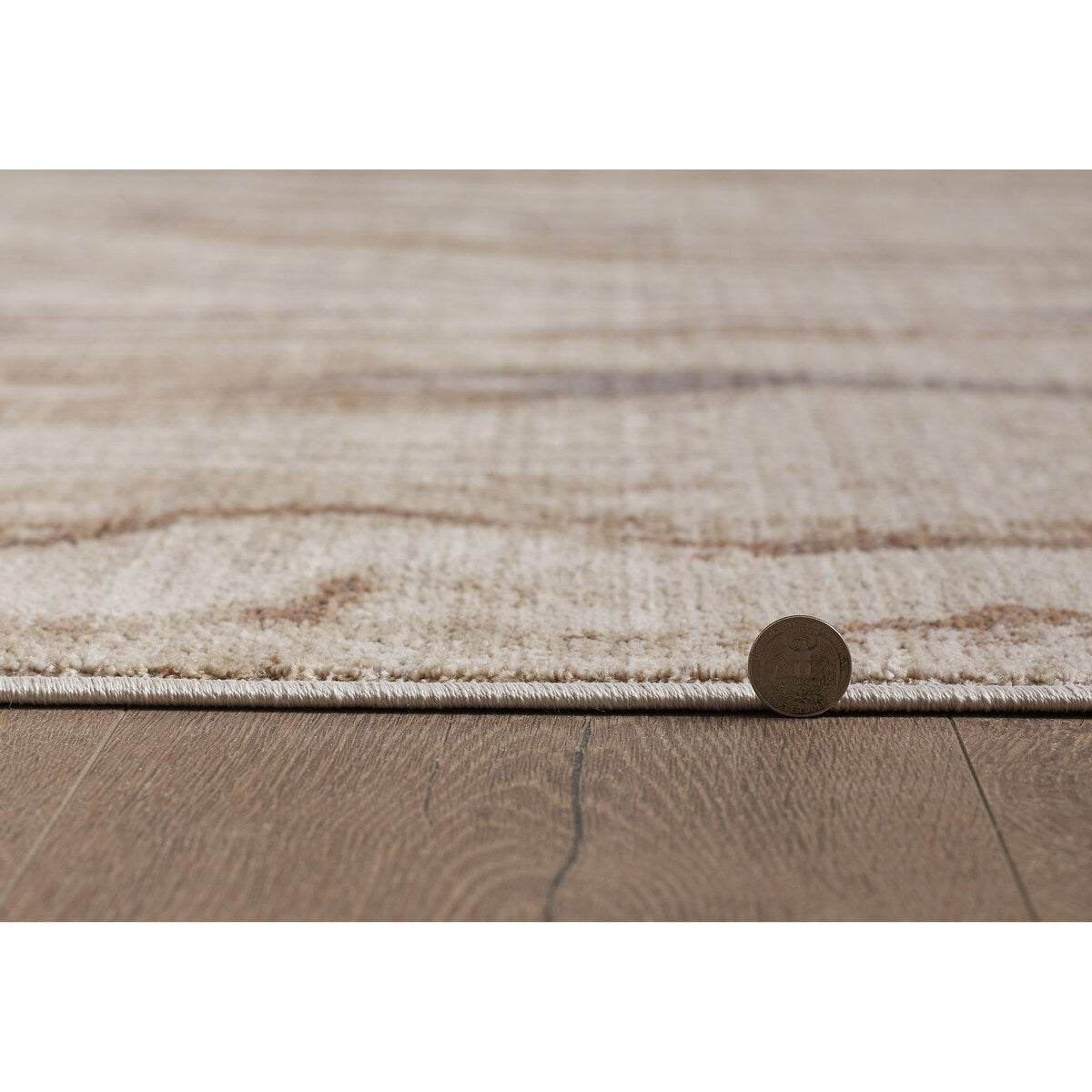 Domani Andrews Contemporary & Natural In Stone Area Rug