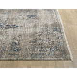 Domani Craze Tranditional & Distressed Area Rug