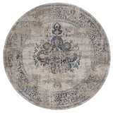 Domani Craze Tranditional & Distressed Area Rug