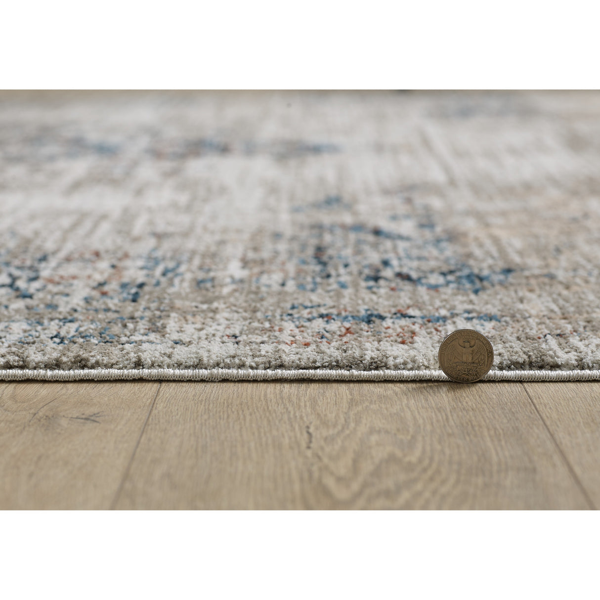 Domani Craze Tranditional & Distressed Area Rug
