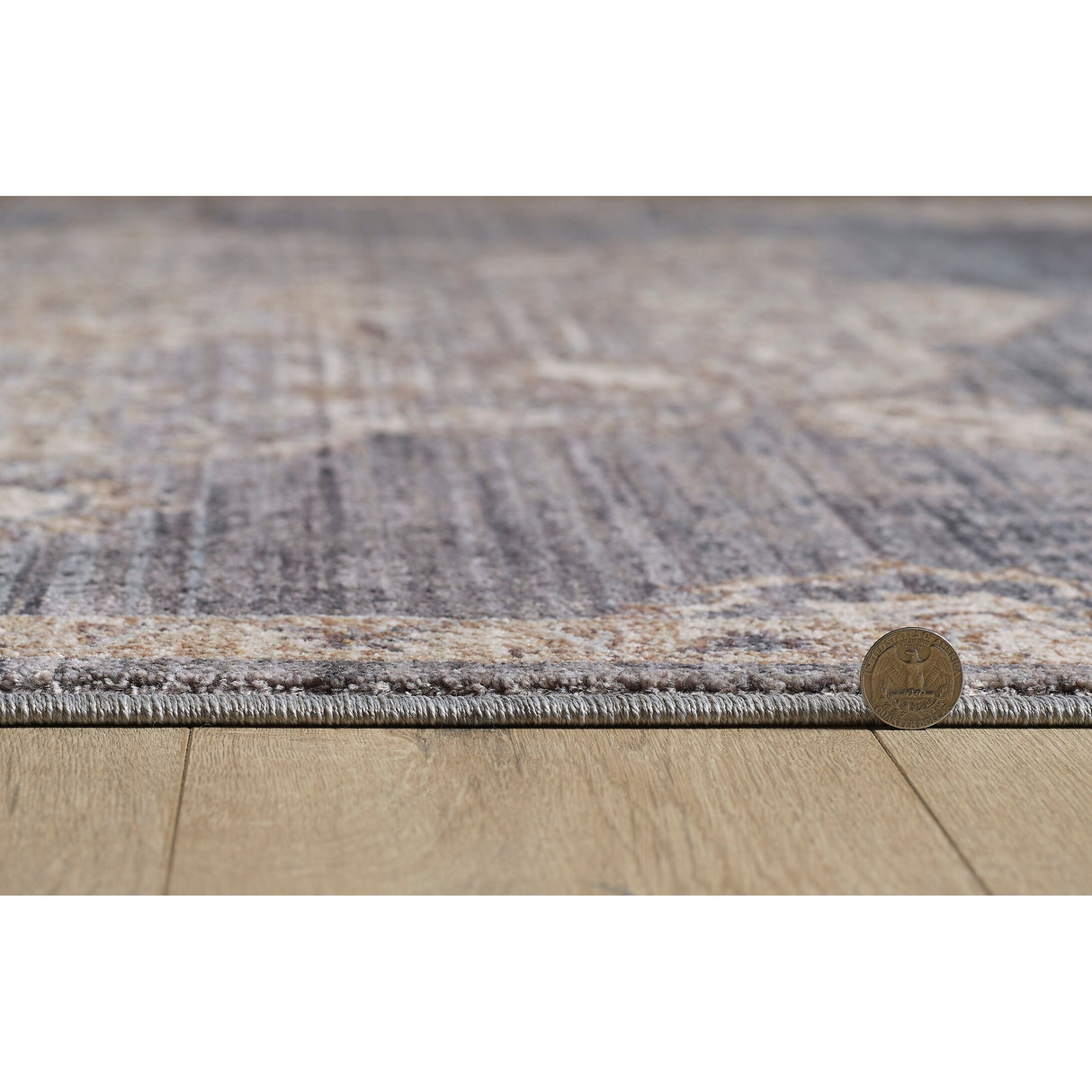 Domani Greige Vintage Medallion Area Rug